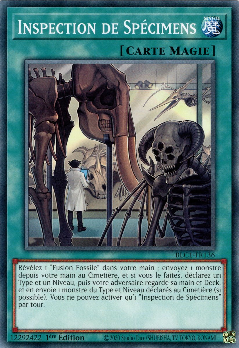Inspection de Spécimens