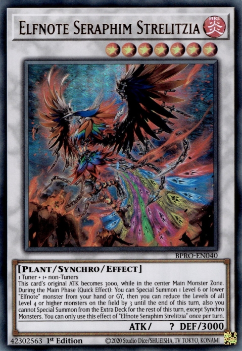 Strelitzia, Séraphin des Notes Elfiques