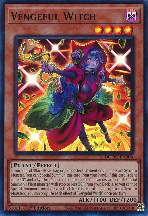 Sorcière Vengeresse