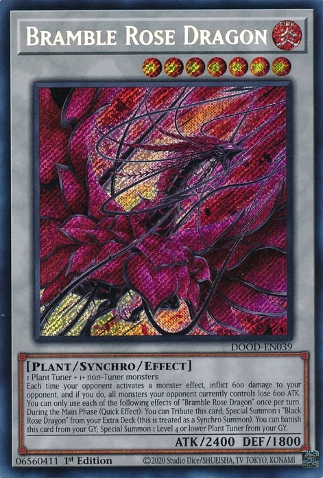 Dragon Rose Ronces
