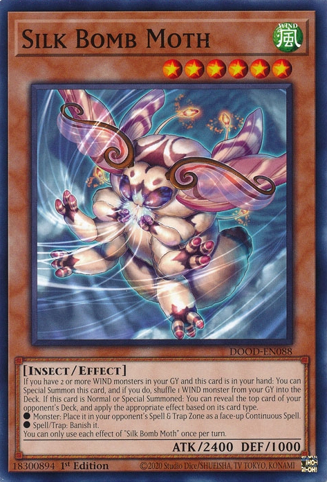 Silk Bomb Moth
