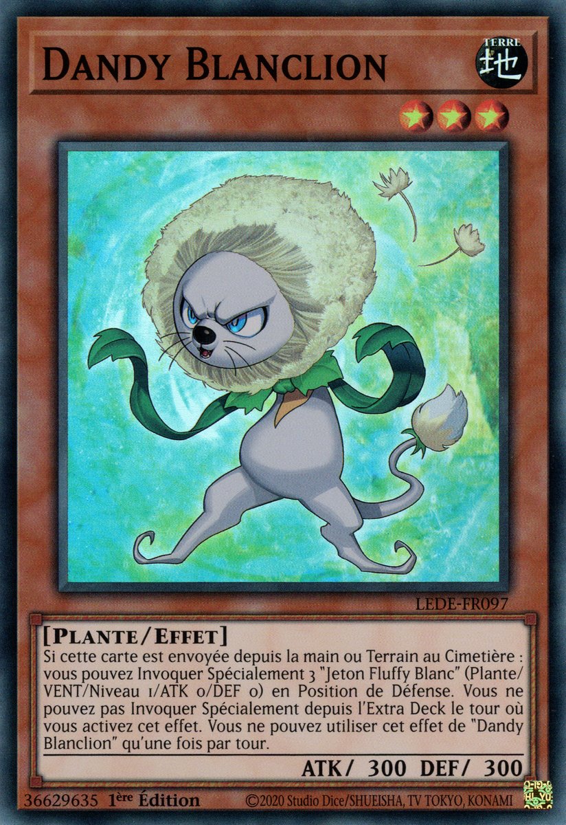 Dandy Blanclion