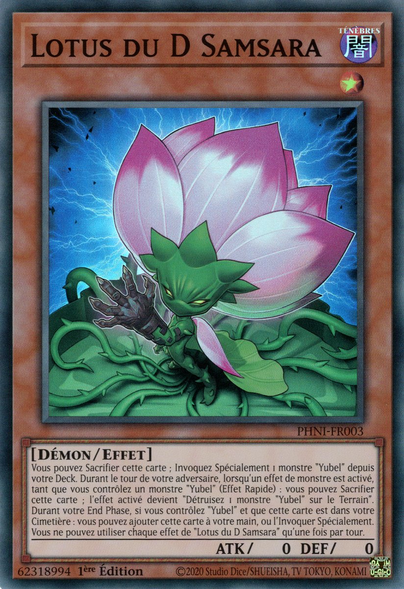 Lotus du D Samsara