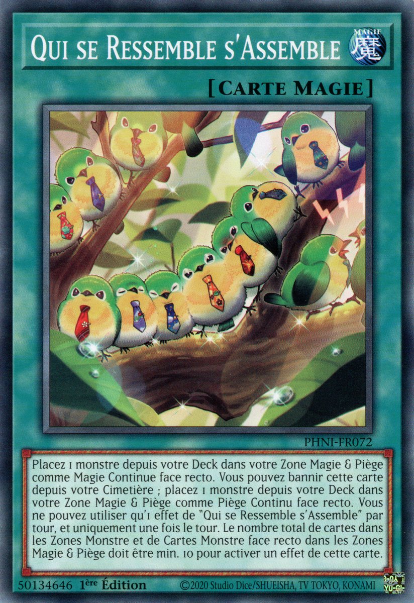 Qui se Ressemble s'Assemble