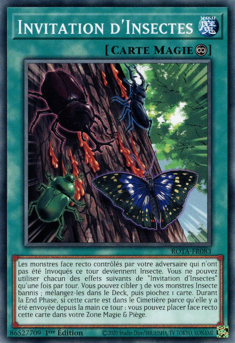 Invitation d'Insectes