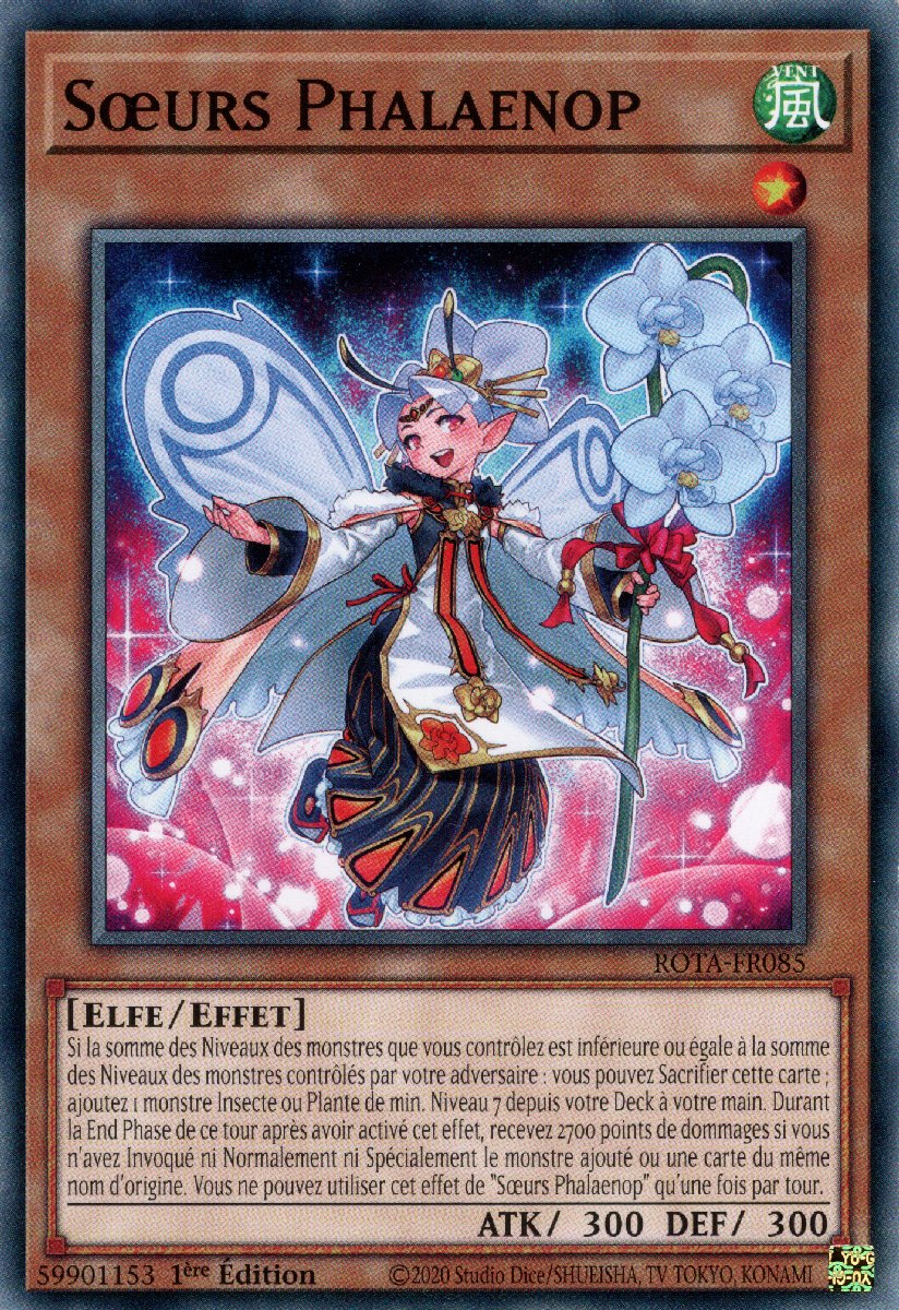 Sœurs Phalaenop