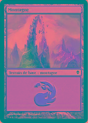 244