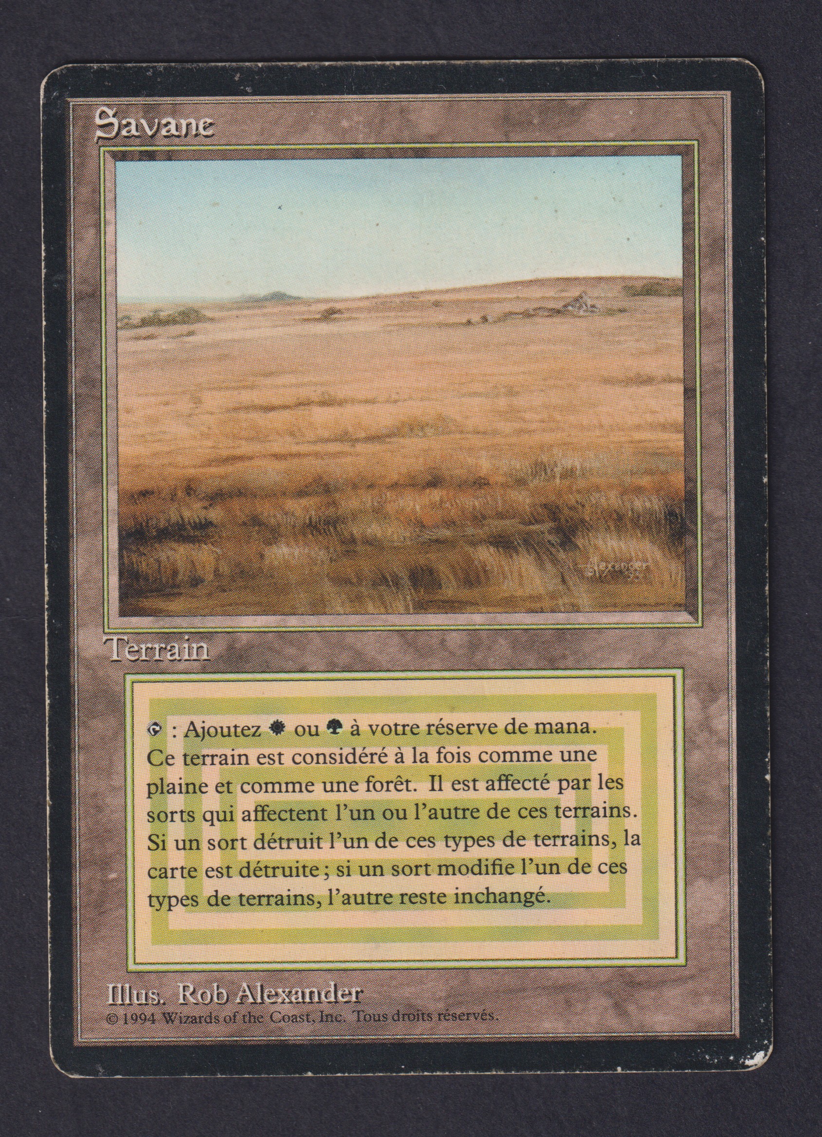 Savane
