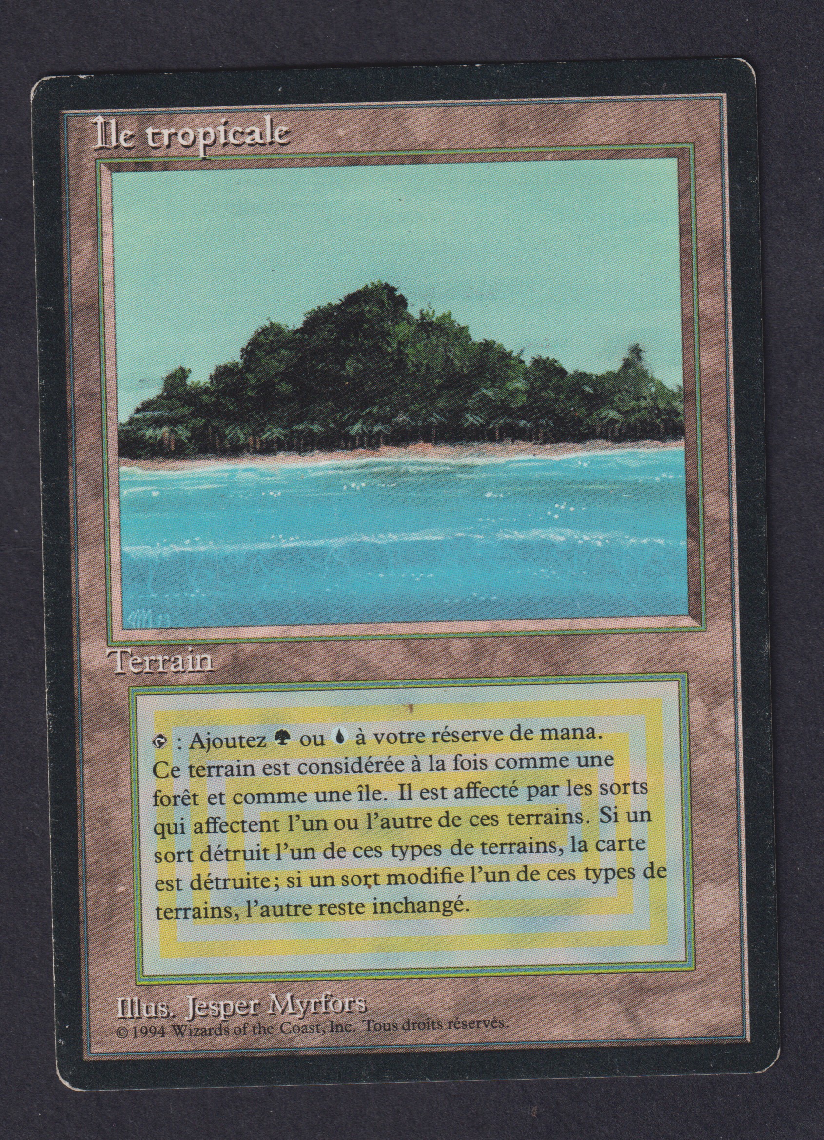 Ile tropicale