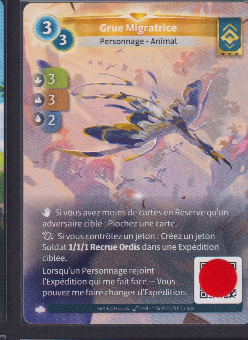 Grue Migratrice - F Ordis