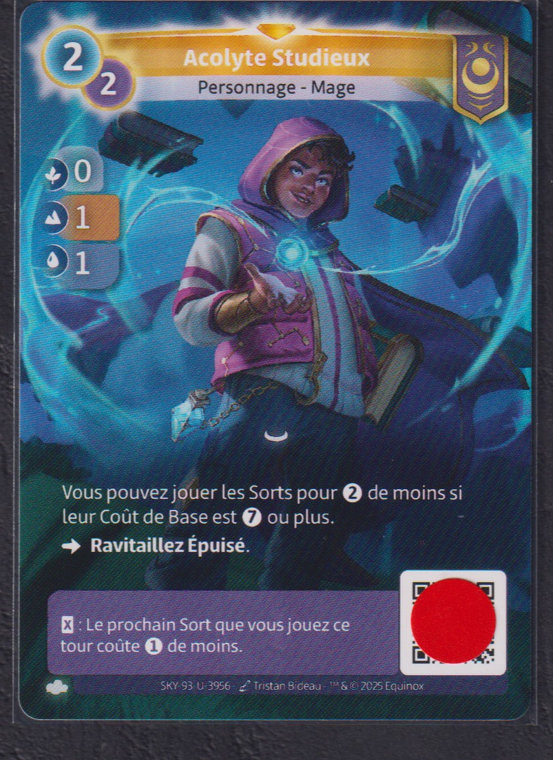 Acolyte Studieux - R Yzmir