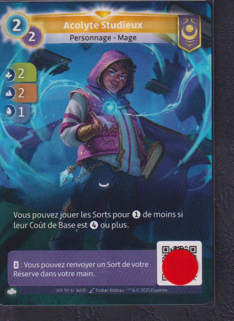 Acolyte Studieux - R Yzmir