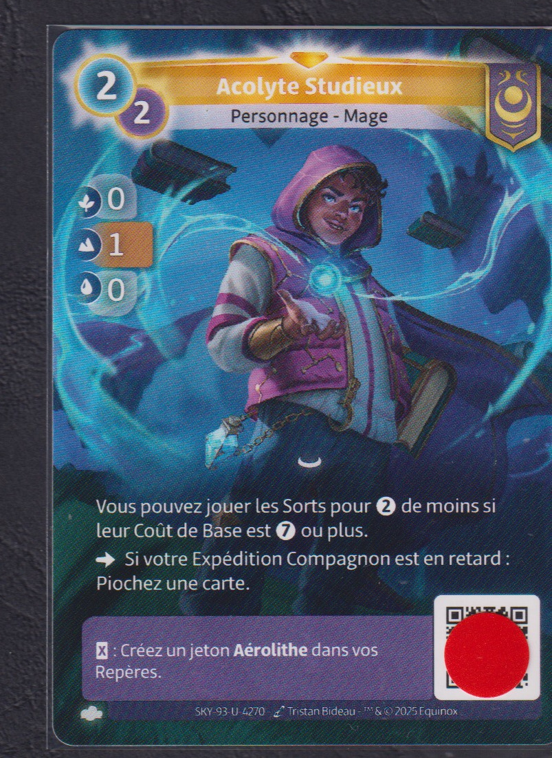 Acolyte Studieux - R Yzmir