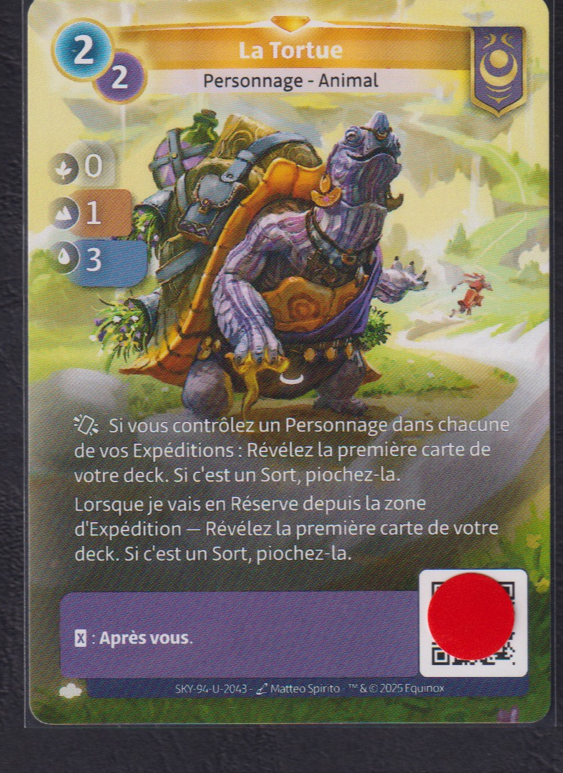 La Tortue - R Yzmir