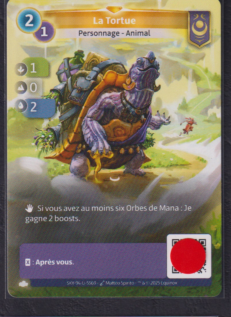 La Tortue - R Yzmir