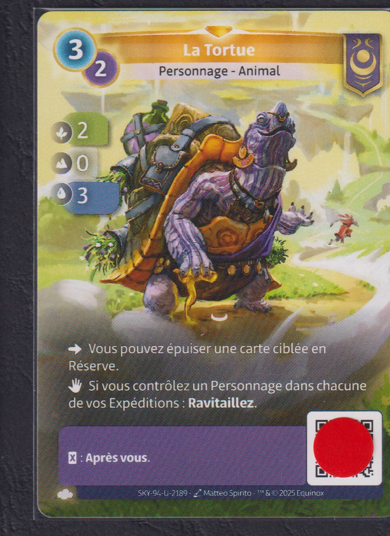 La Tortue - R Yzmir