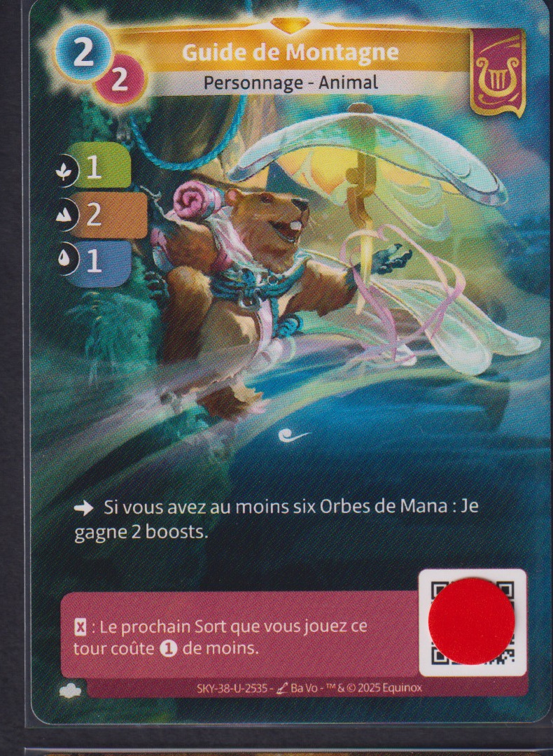 Guide de Montagne - R Lyra