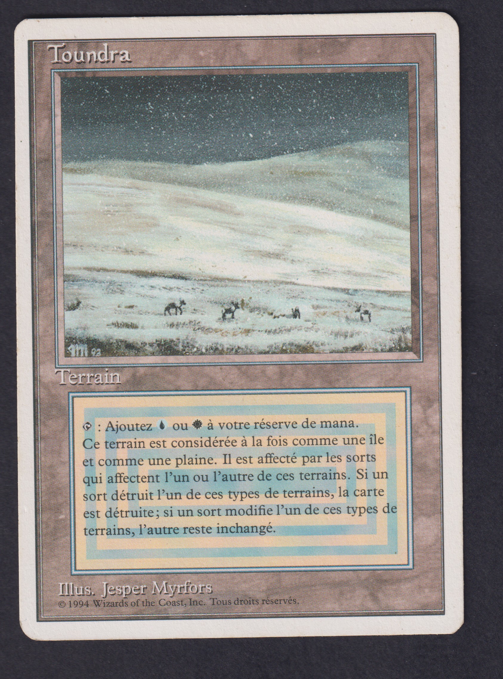 MTG tundra/Toundra フランス語版 Tundra - Magic card (5574) | Playin