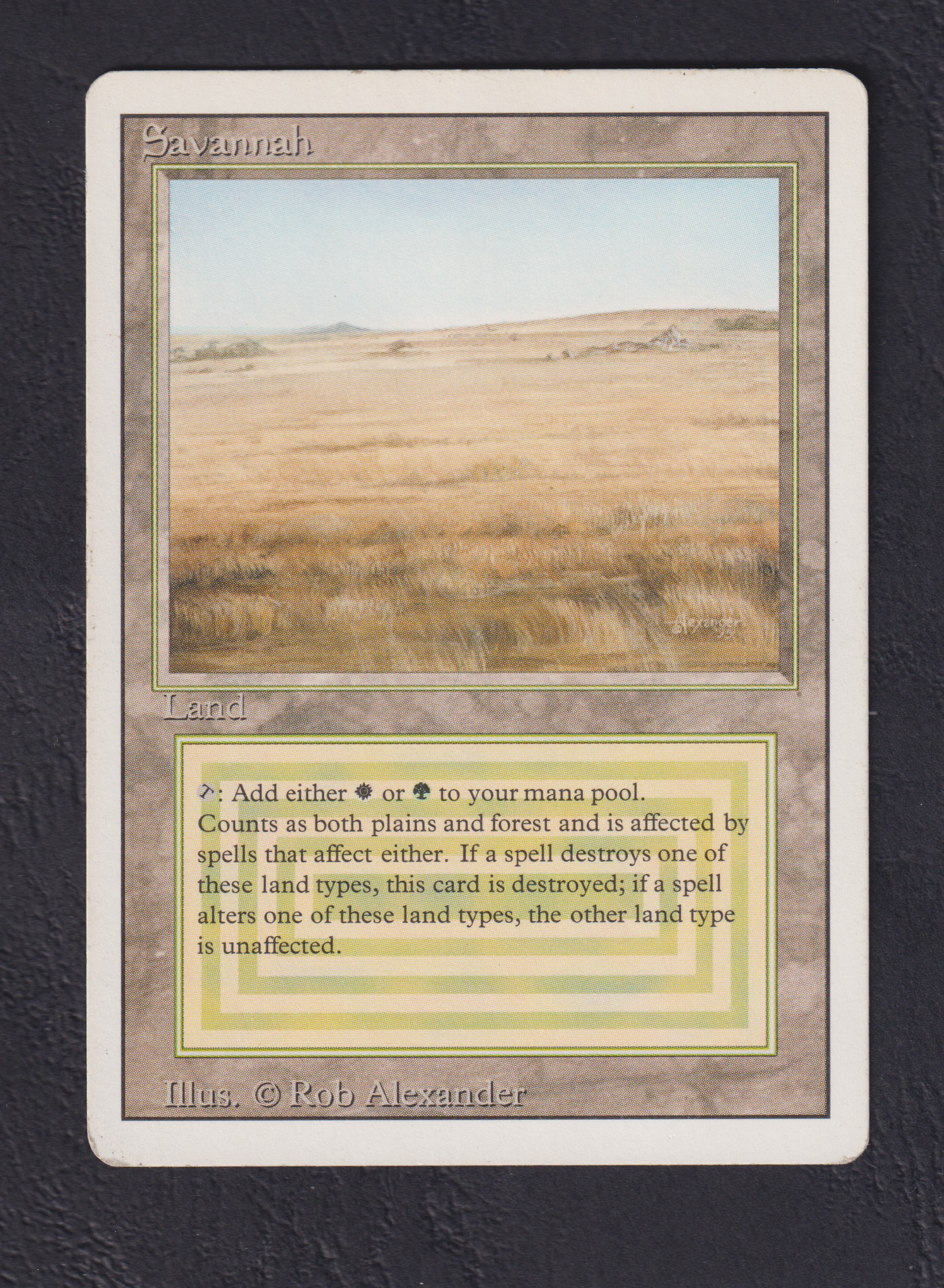 Savannah - Magic card (4402) | Playin