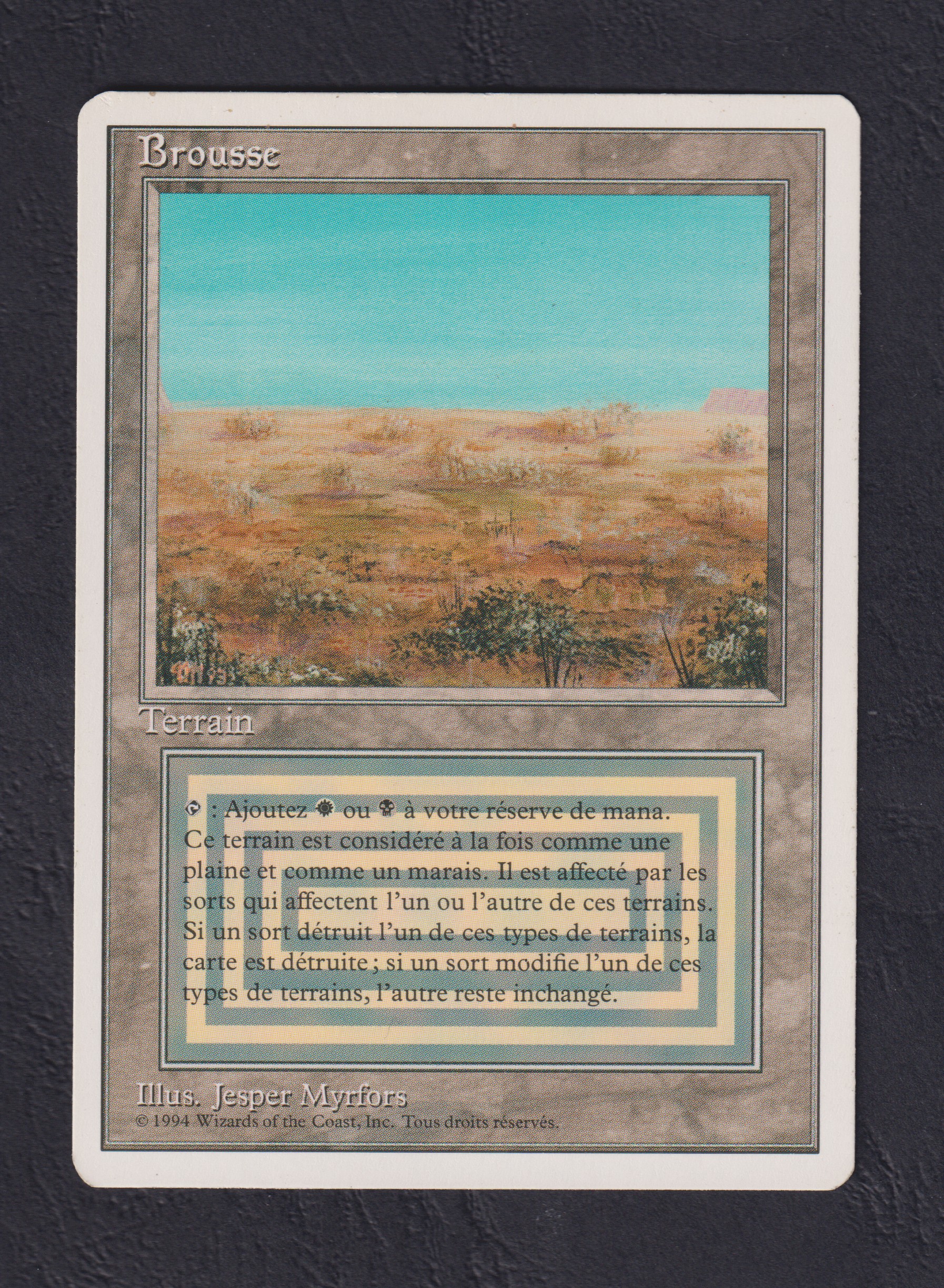 MTG Scrubland HP フランス語 Scrubland · Intl. Collectors' Edition (CEI) #282 · Scryfall Magic