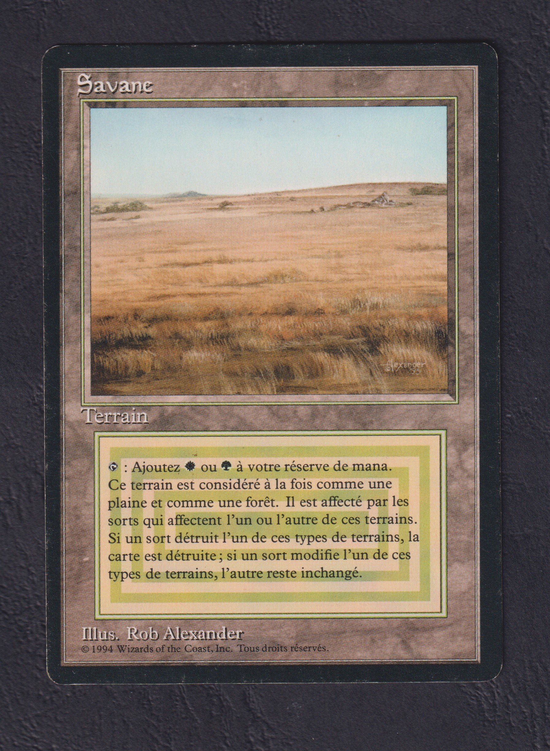 Scan-7032-Savannah-PLFeu-FR-