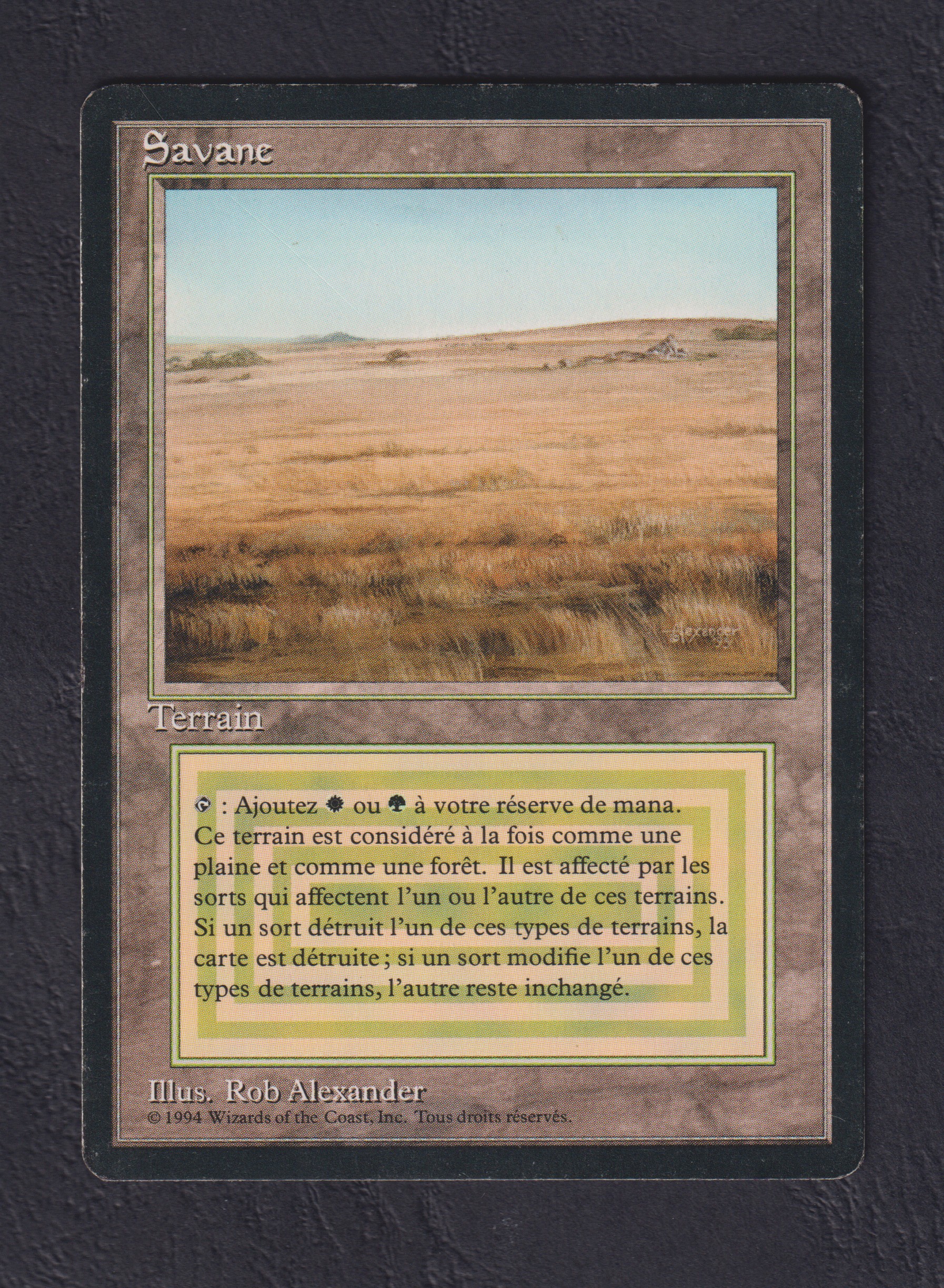 Scan-7034-Savannah-PLFeu-FR-