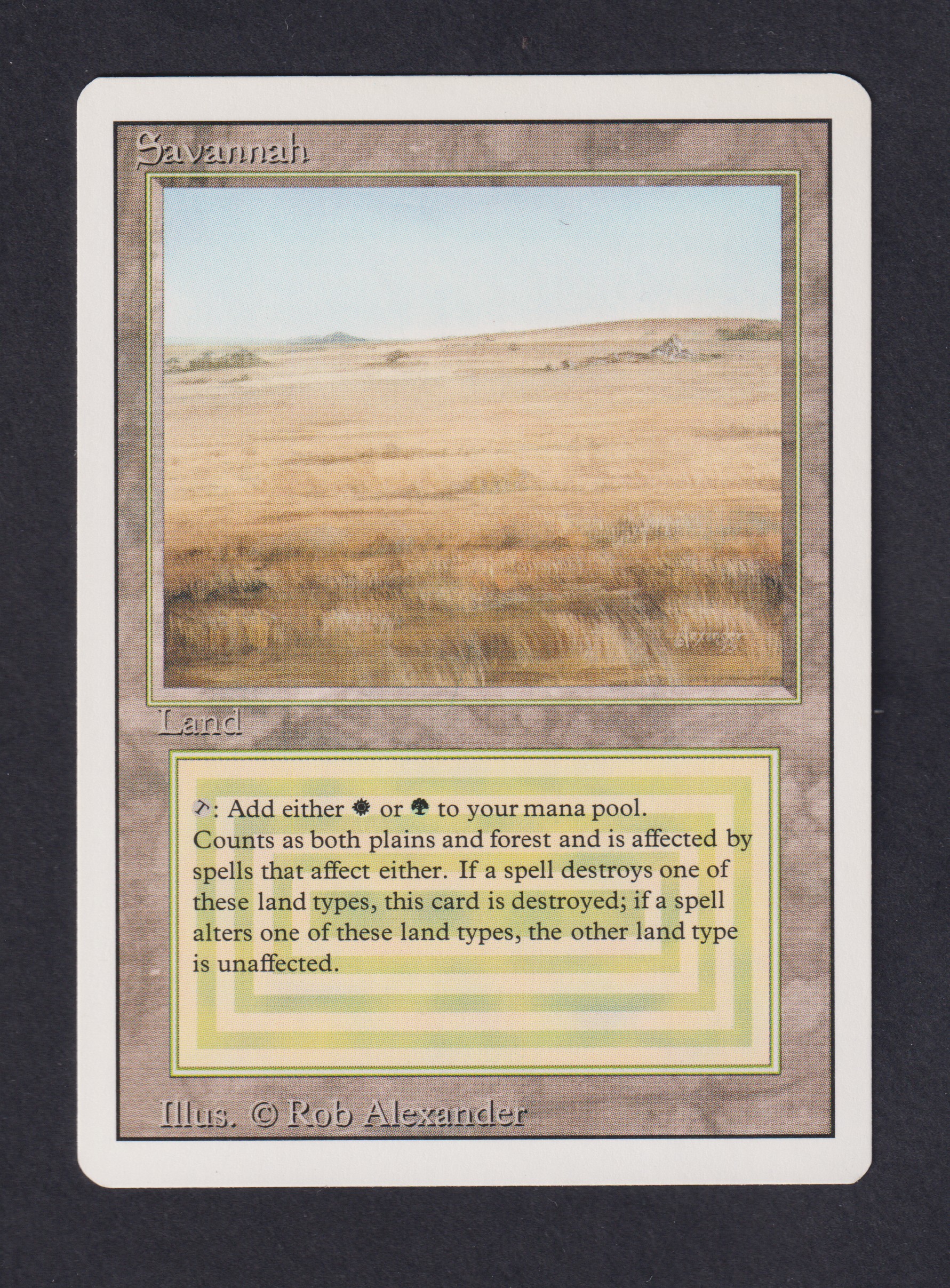 Scan-7096-Savannah-Ex-EN-