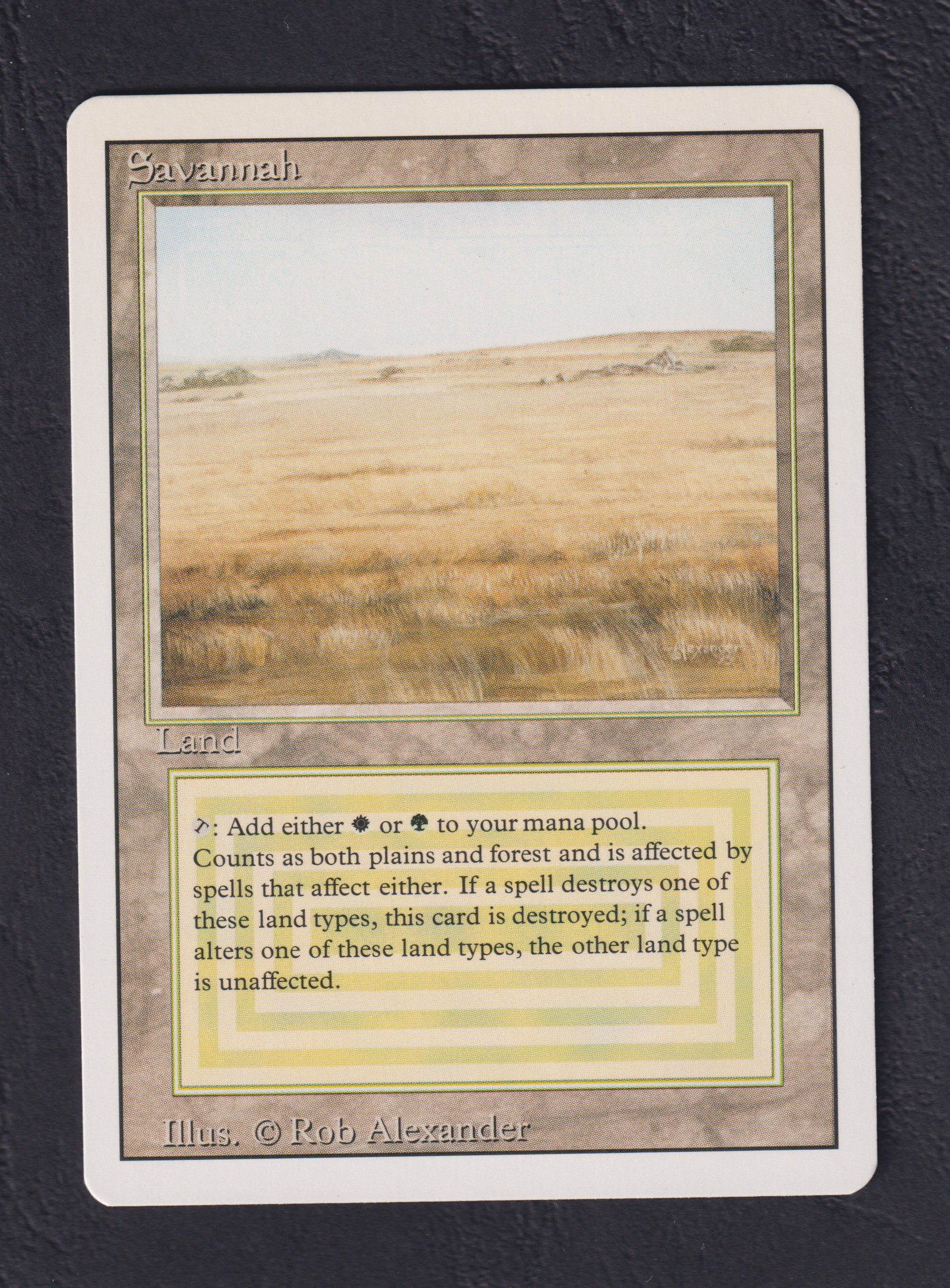 Savannah - Magic card (4402) | Playin