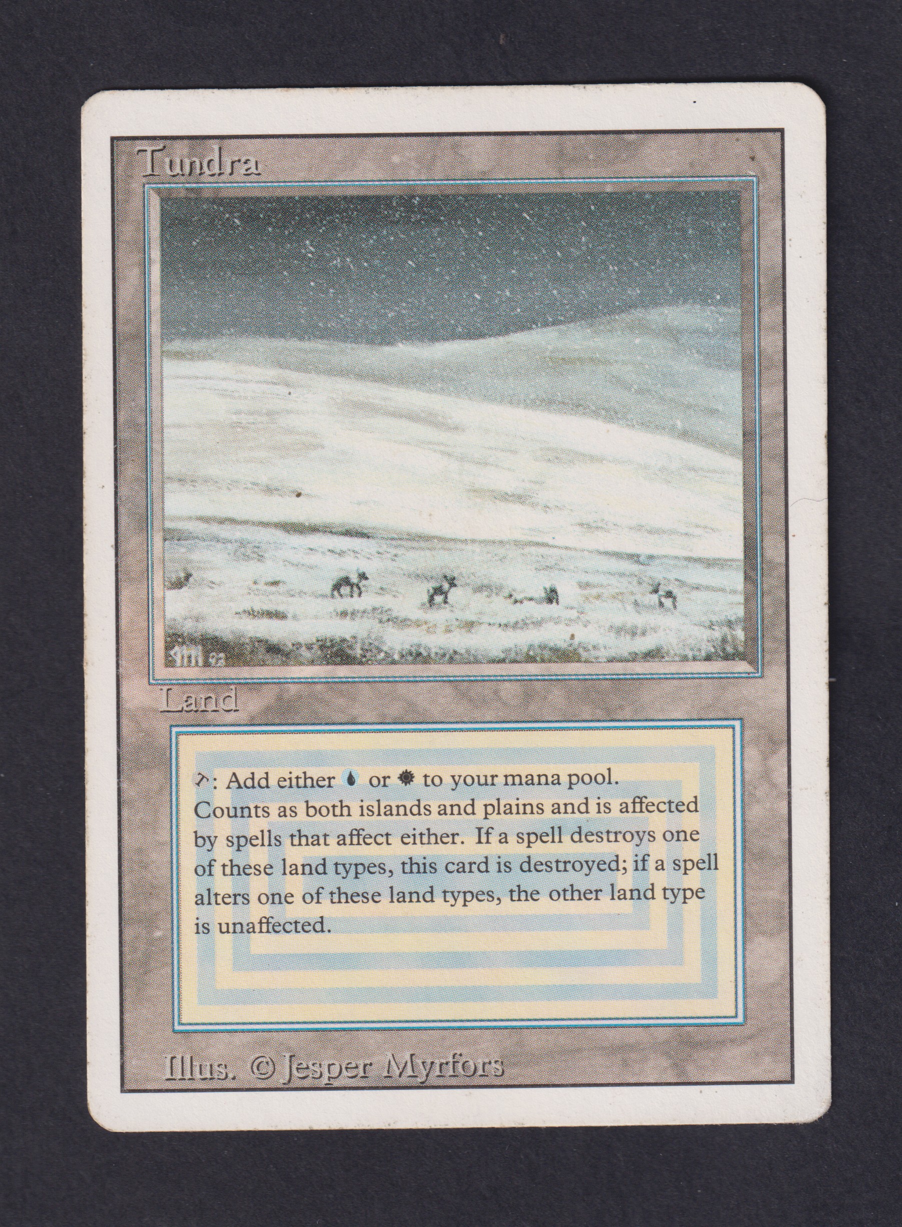 Tundra - Magic card (5574) | Playin