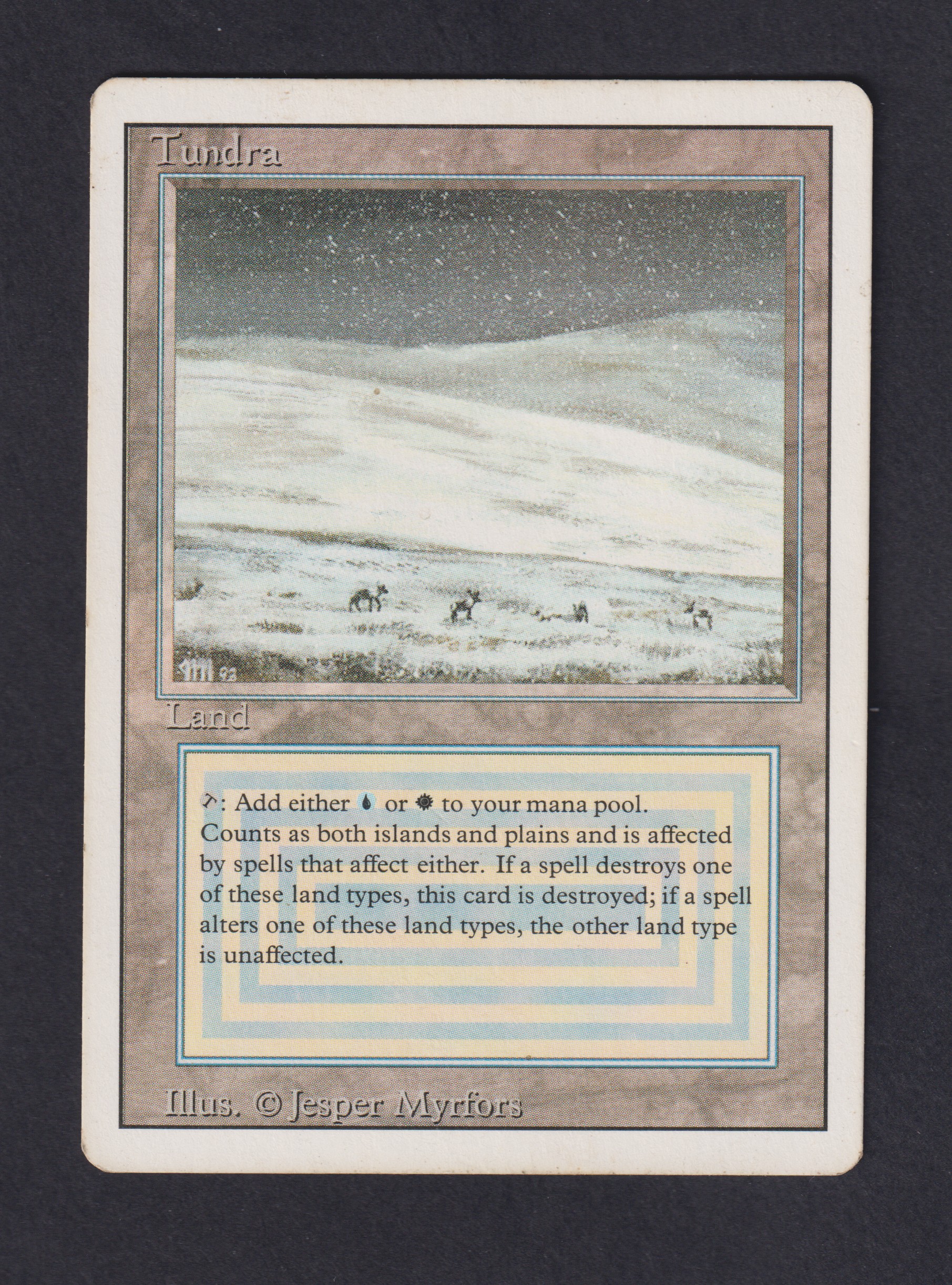 Tundra - Magic card (5574) | Playin