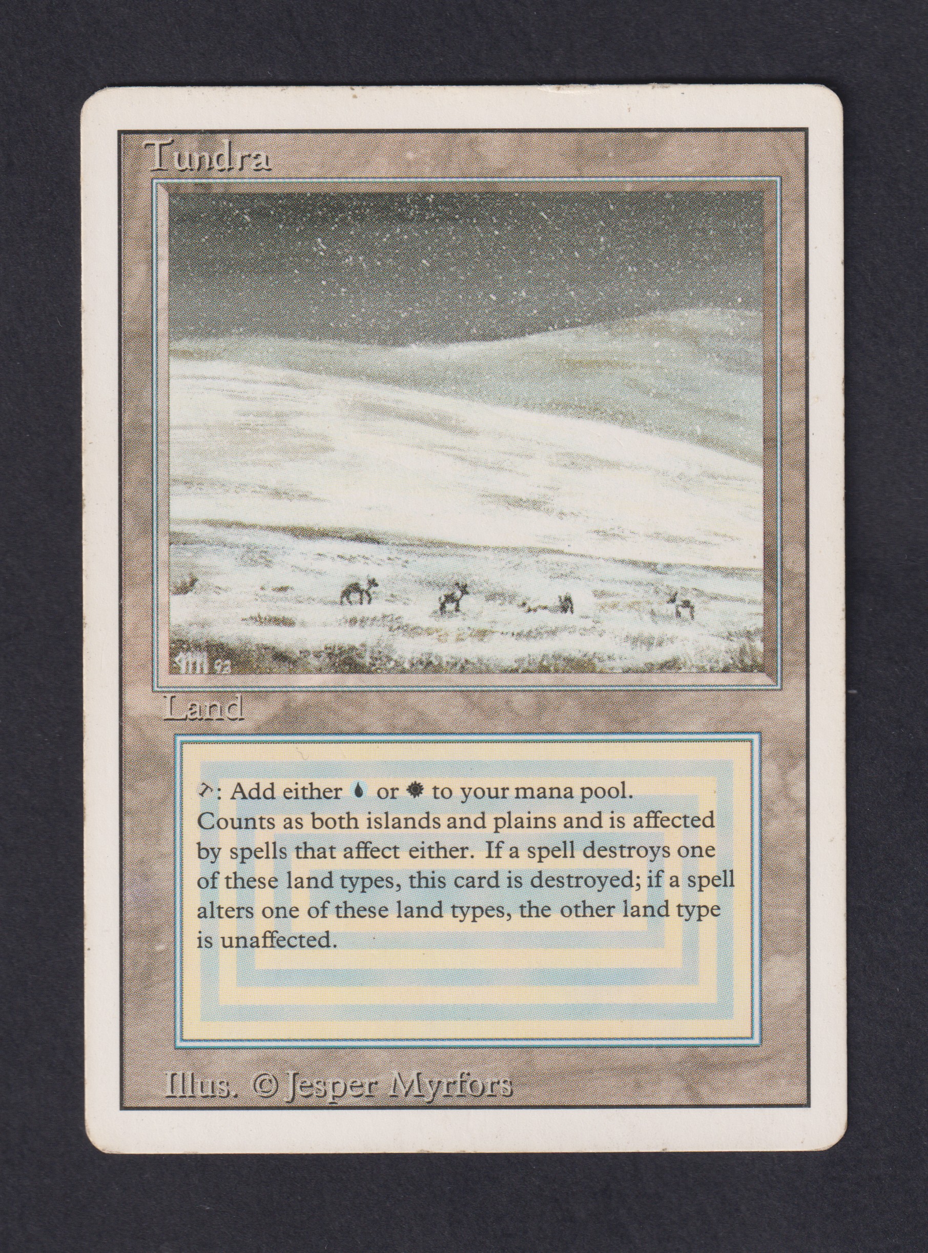 Tundra - Magic card (5574) | Playin