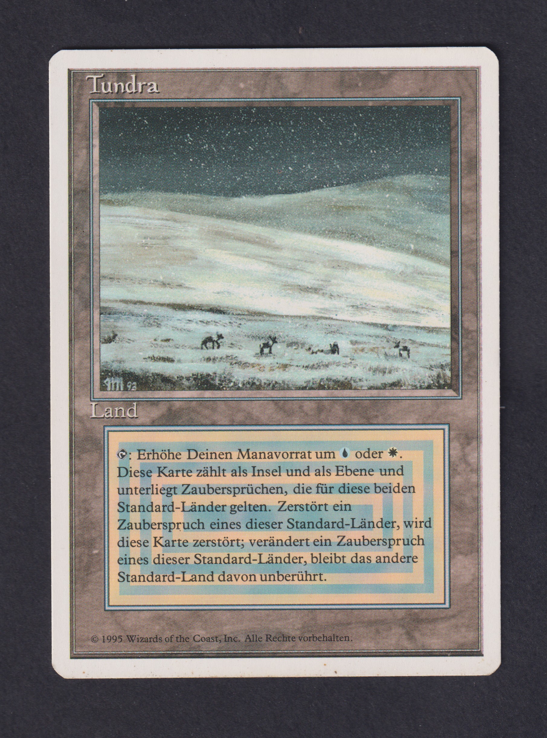 Tundra - Magic card (5574) | Playin