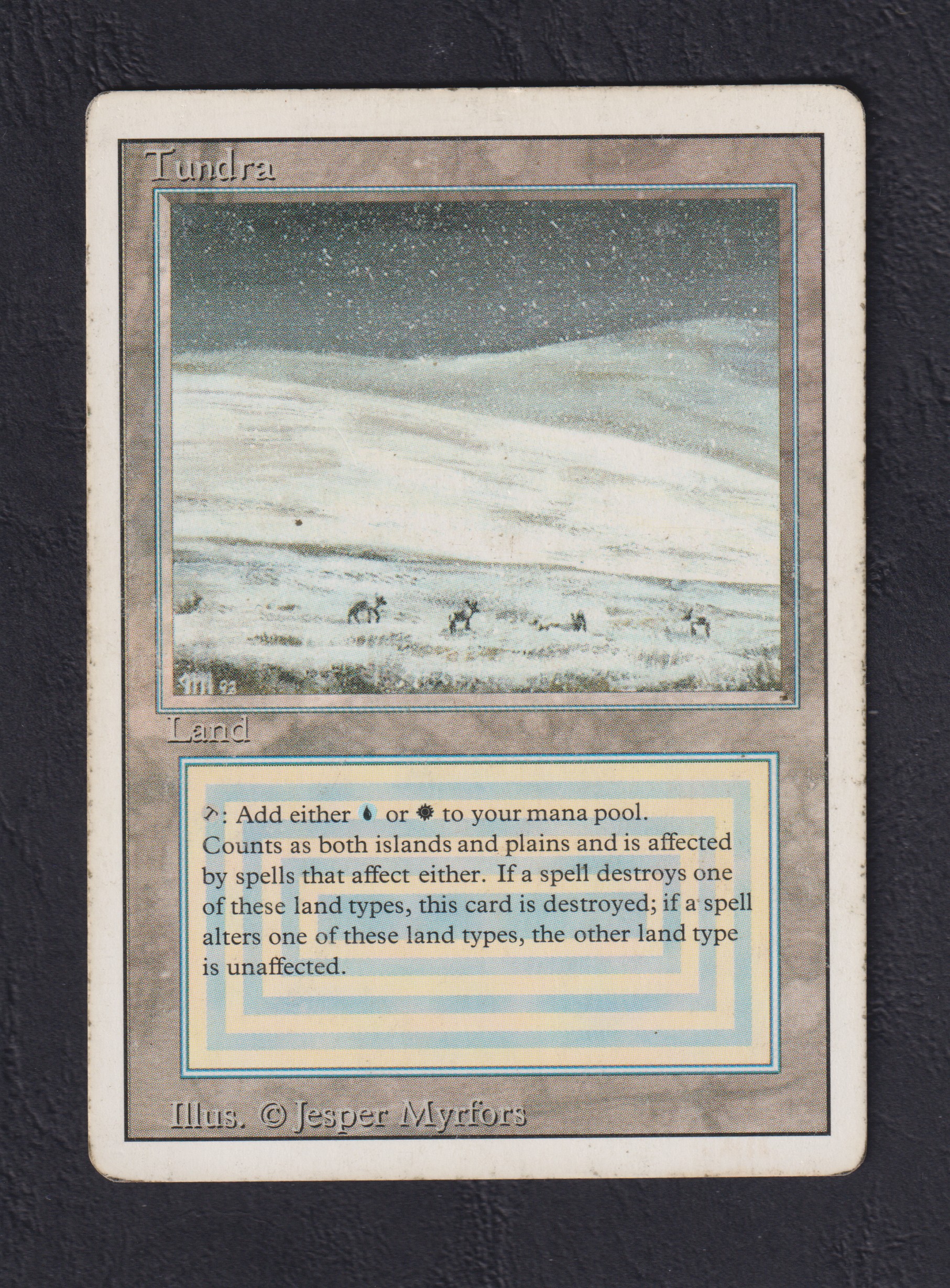 Tundra - Magic card (5574) | Playin