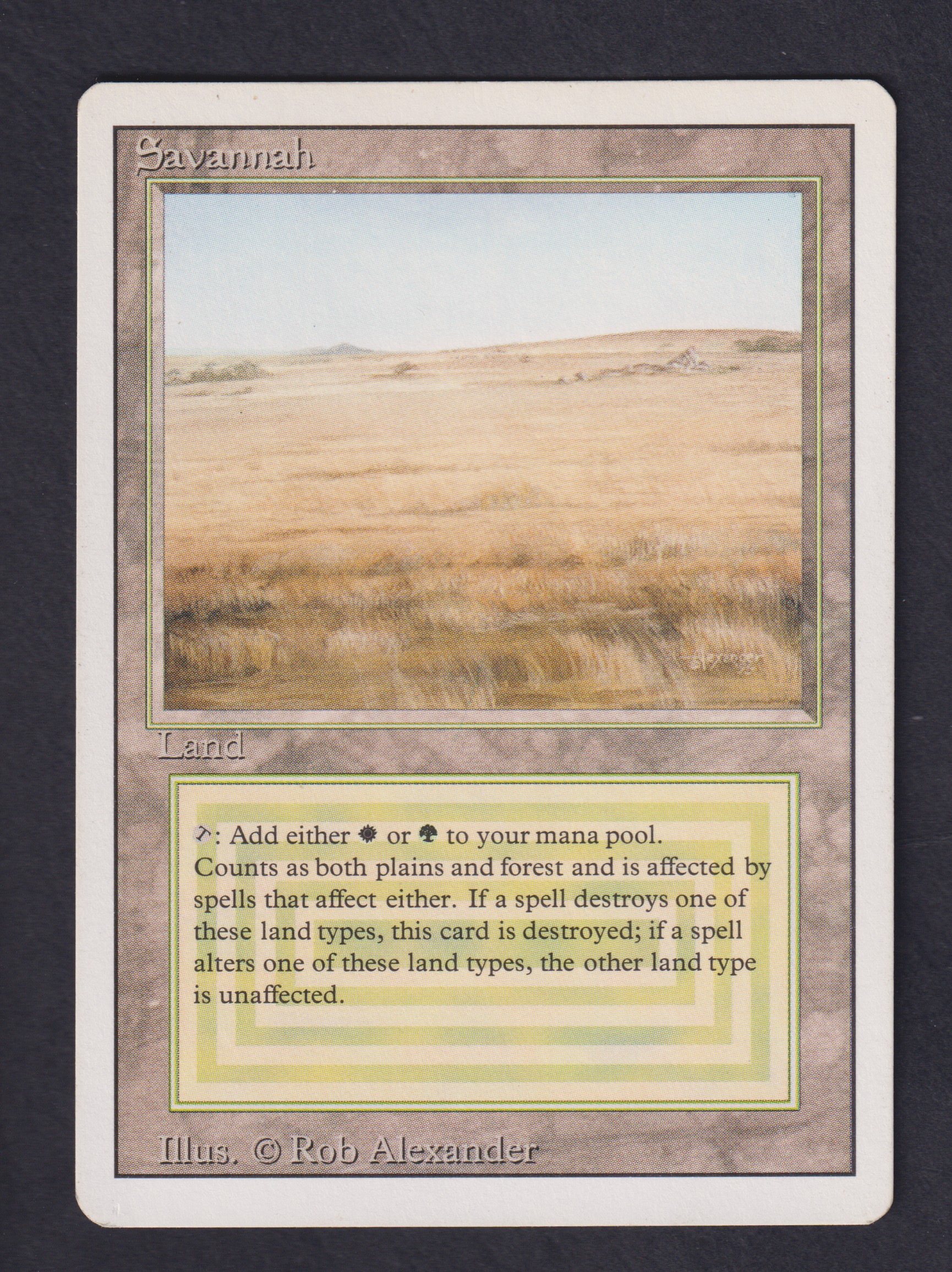 Scan-7381-Savannah-PL-EN-