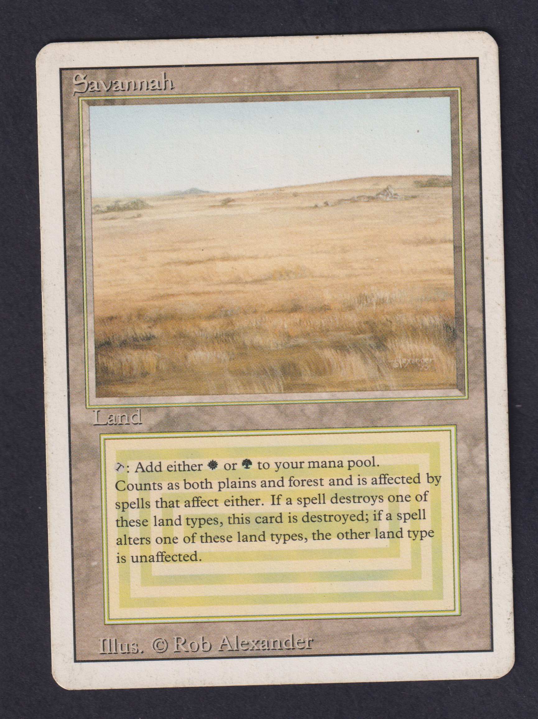 Savannah - Magic card (4402) | Playin